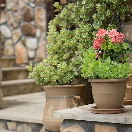 Lejlighed Dione Ouranoupoli