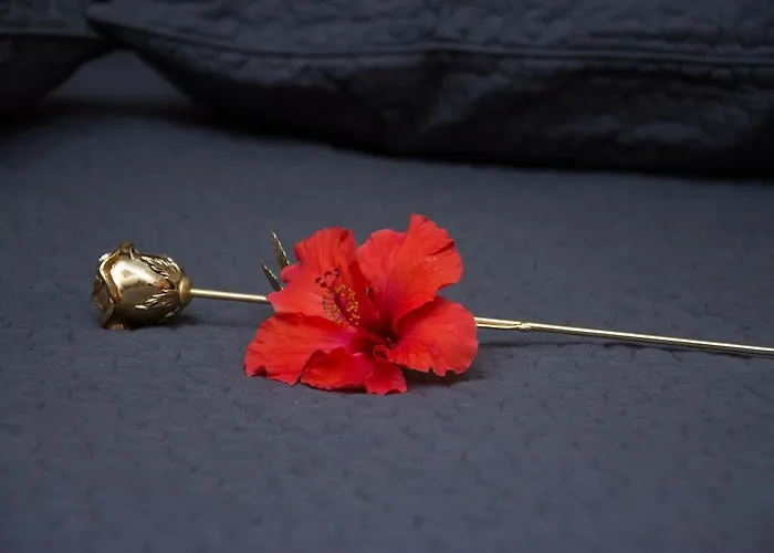 Appartamento Dione *