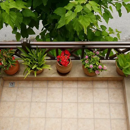 Apartment Dione Ouranoupoli