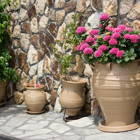 Dione אואוראנואופולי